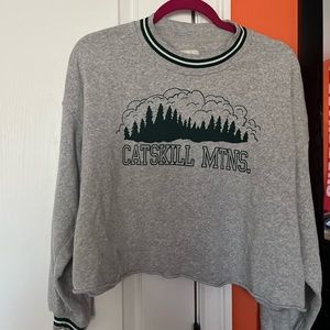 American Eagle Catskill Mtns cropped crewneck sweatshirt